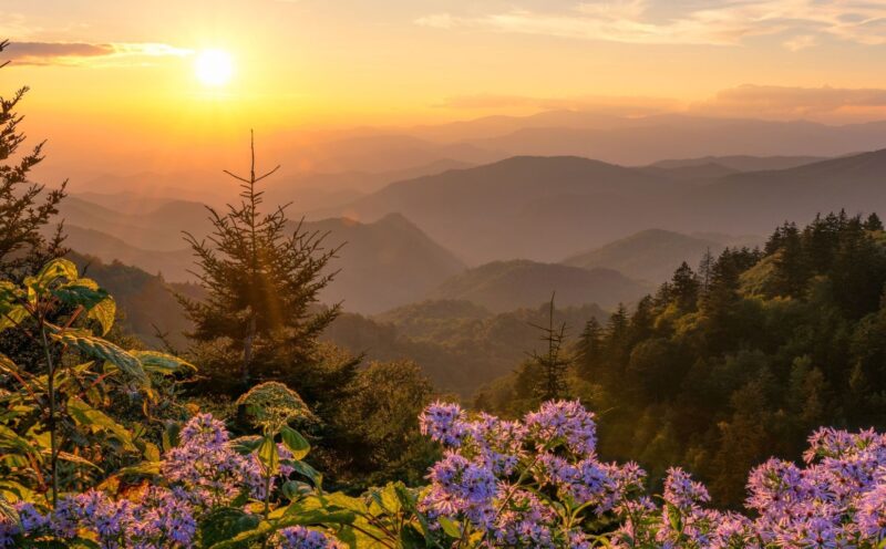 Great smoky national park 01