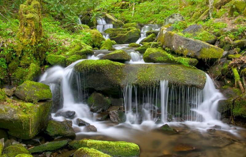 Great smoky national park 02