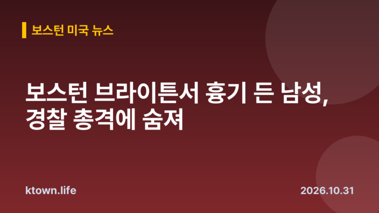 보스턴 브라이튼서 흉기 든 남성, 경찰 총격에 숨져