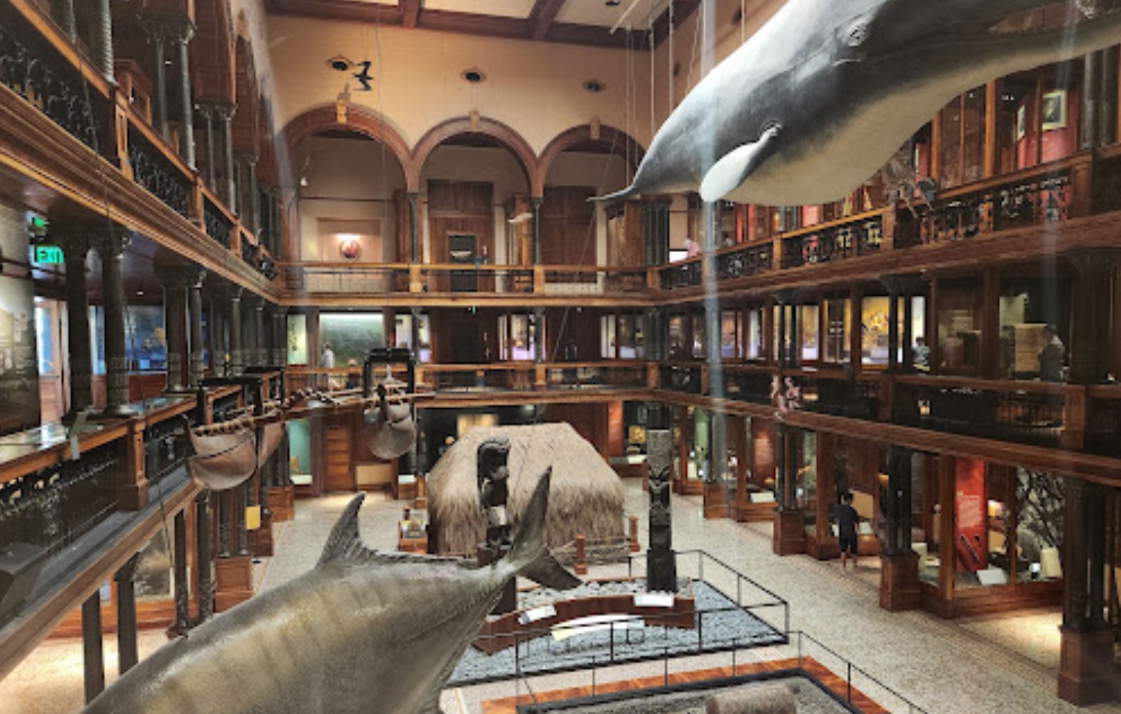 Bishop Museum