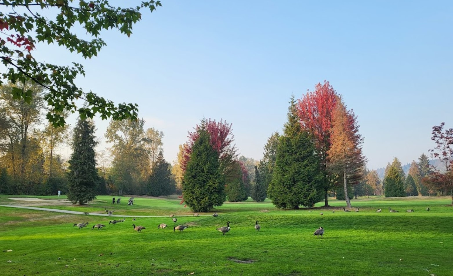 Burnaby Mountain Golf Course Driving Range