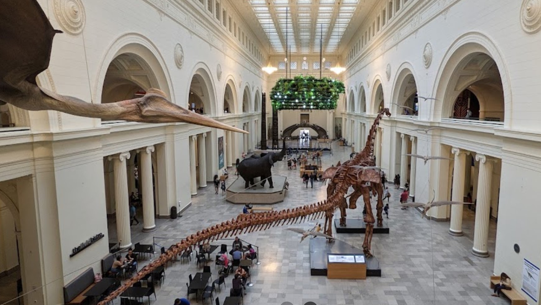 Museum Campus