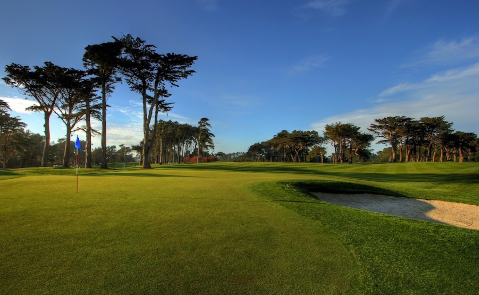 TPC Harding Park
