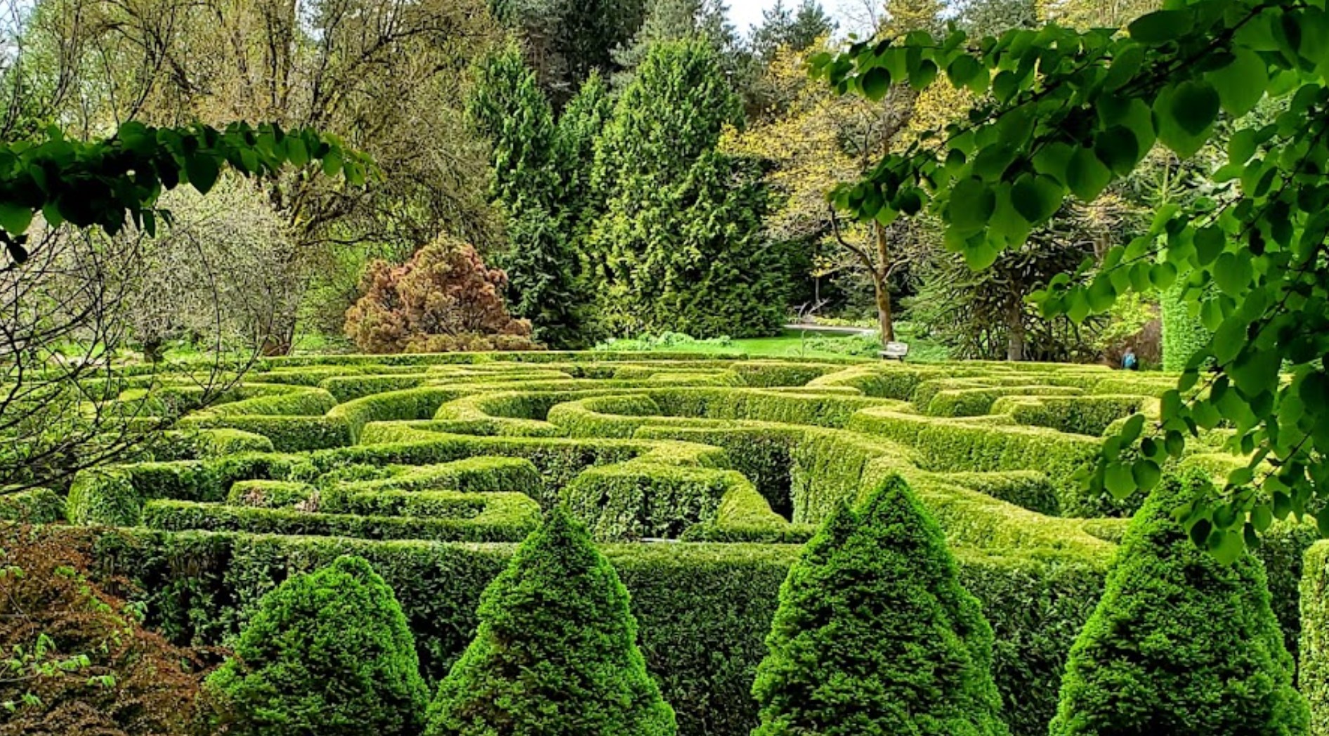 VanDusen Botanical Garden