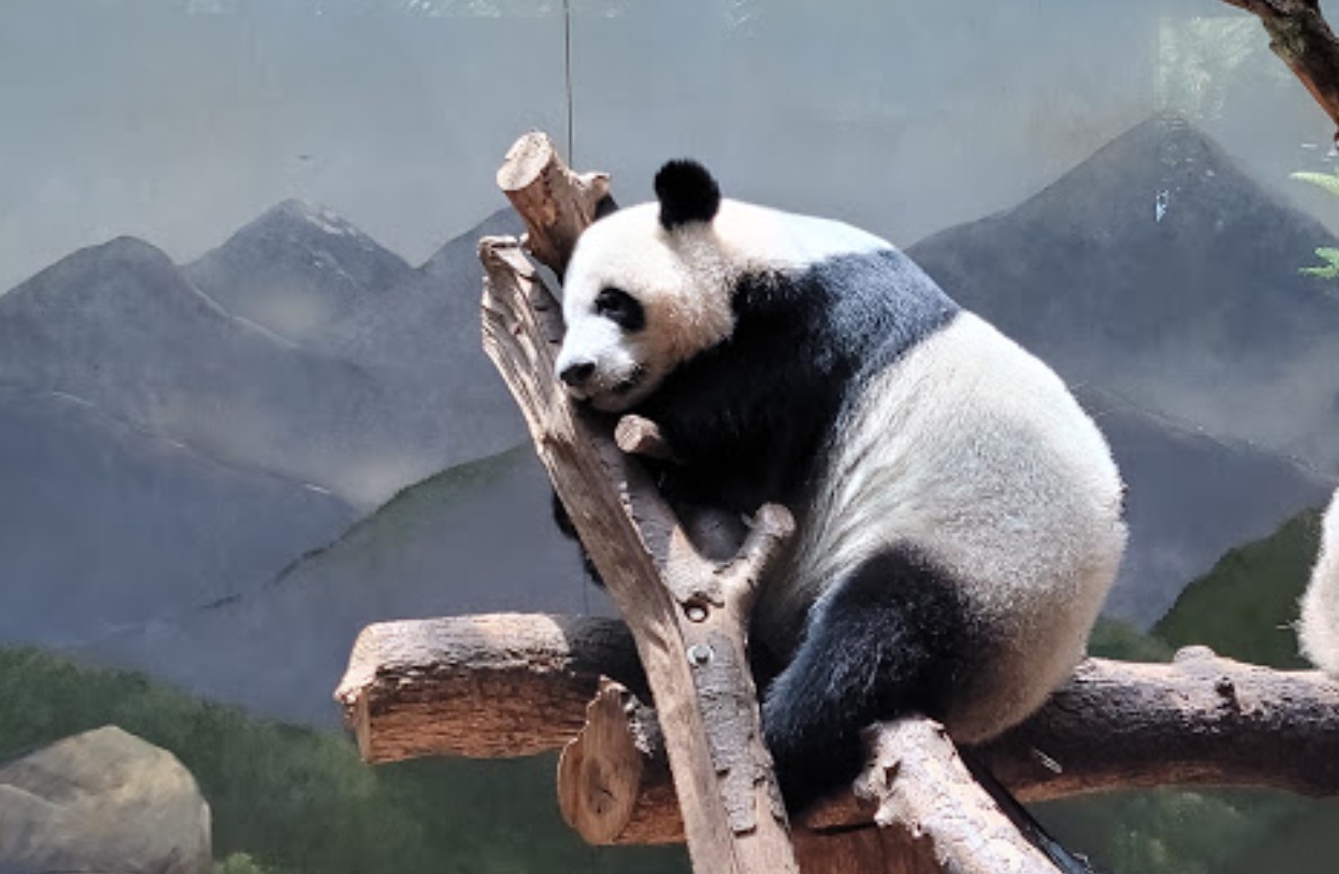 Zoo Atlanta