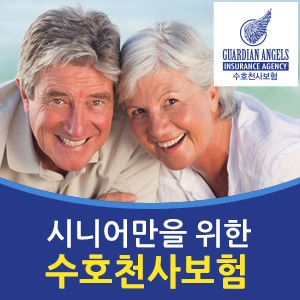 ad 300x300 guardian angel ins