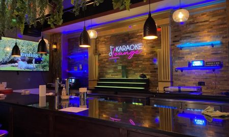 2 pigs karaoke