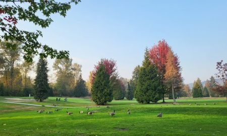 Burnaby Mountain Golf Course & Driving Range