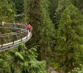 Cliffwalk