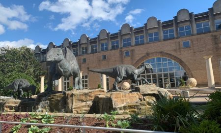 Fernbank Museum of Natural History - Atlanta