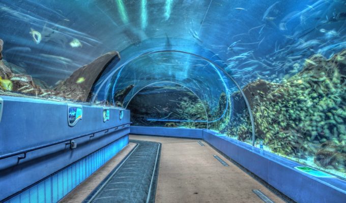 Georgia Aquarium