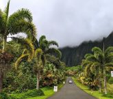 Hoʻomaluhia Botanical Garden