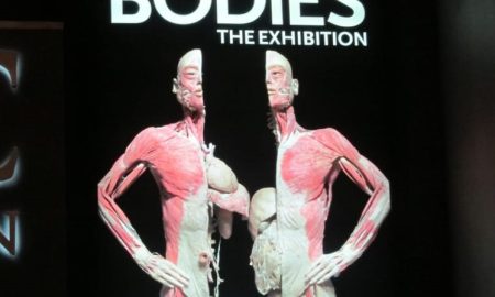 Human Body Ext