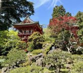 Japanese Tea Garden - SF