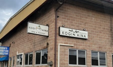 Kogi Aina