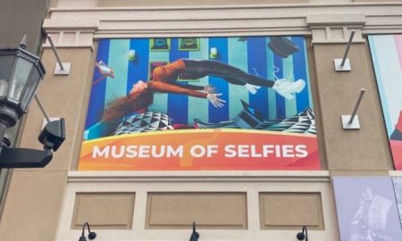 Museum of Selfies