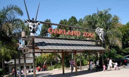 Oakland Zoo