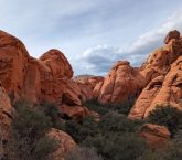Red Rock Cayon