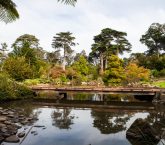 San Francisco Botanical Graden - SF