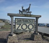 San francisco Zoo