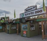 Toronto Zoo