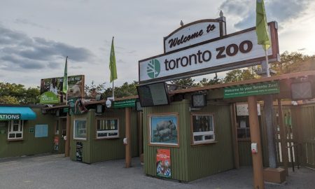 Toronto Zoo