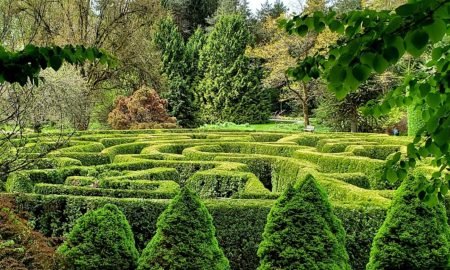 VanDusen Botanical Garden