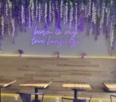 cafe bora