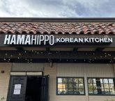 hamahippo