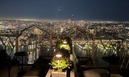 saga NY2